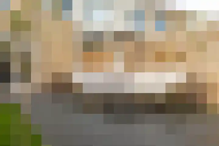 Damsterwaard 42 Groningen thumbnail 35