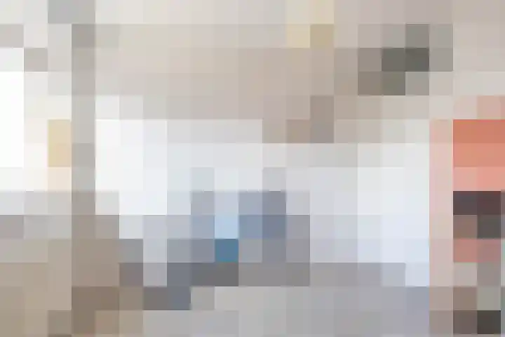 Damsterwaard 42 Groningen thumbnail 43