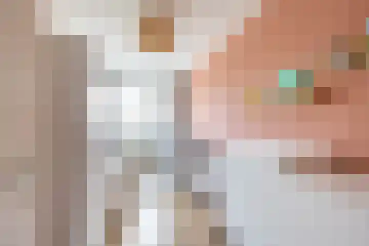 Damsterwaard 42 Groningen thumbnail 44