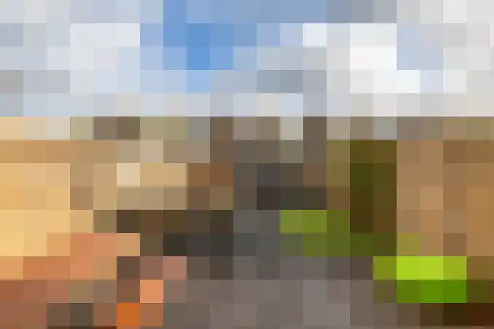 Damsterwaard 42 Groningen thumbnail 5