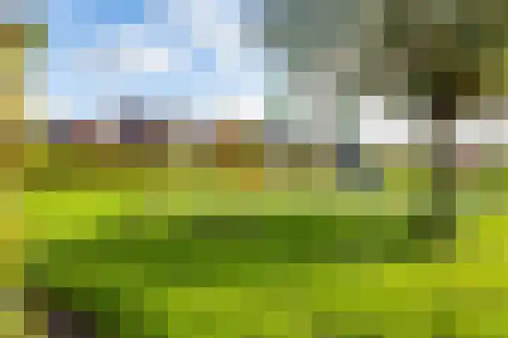 Damsterwaard 42 Groningen thumbnail 7
