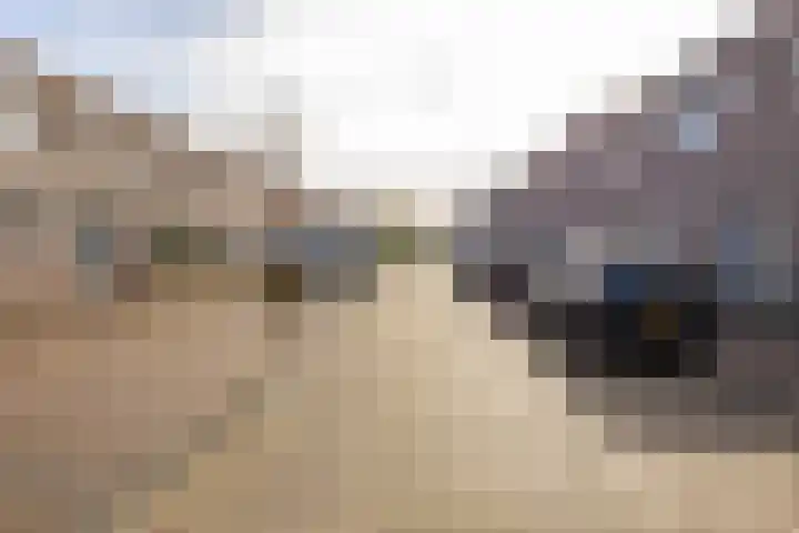 Damsterwaard 42 Groningen thumbnail 9