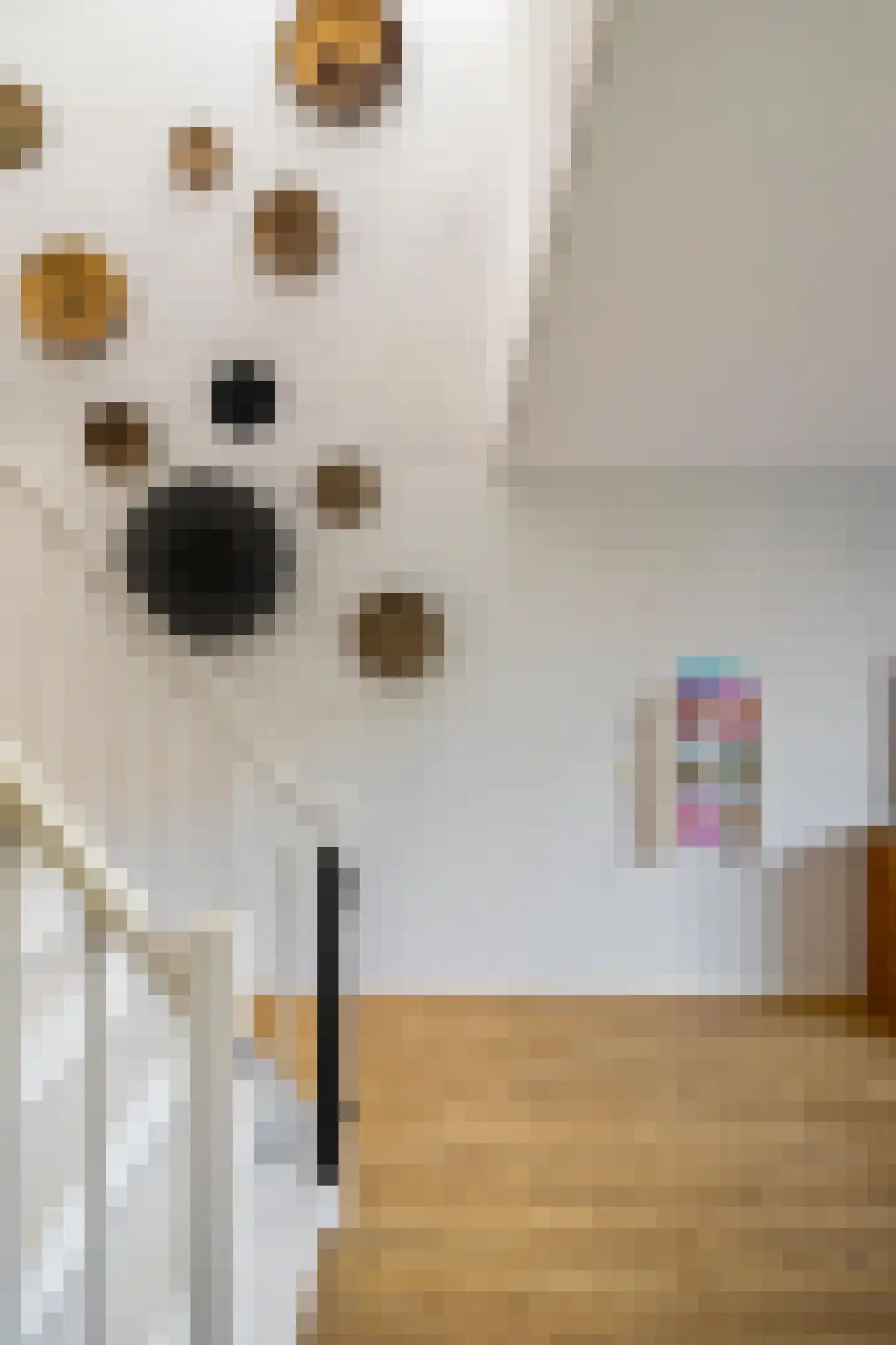 Damsterwaard 69 Groningen thumbnail 10