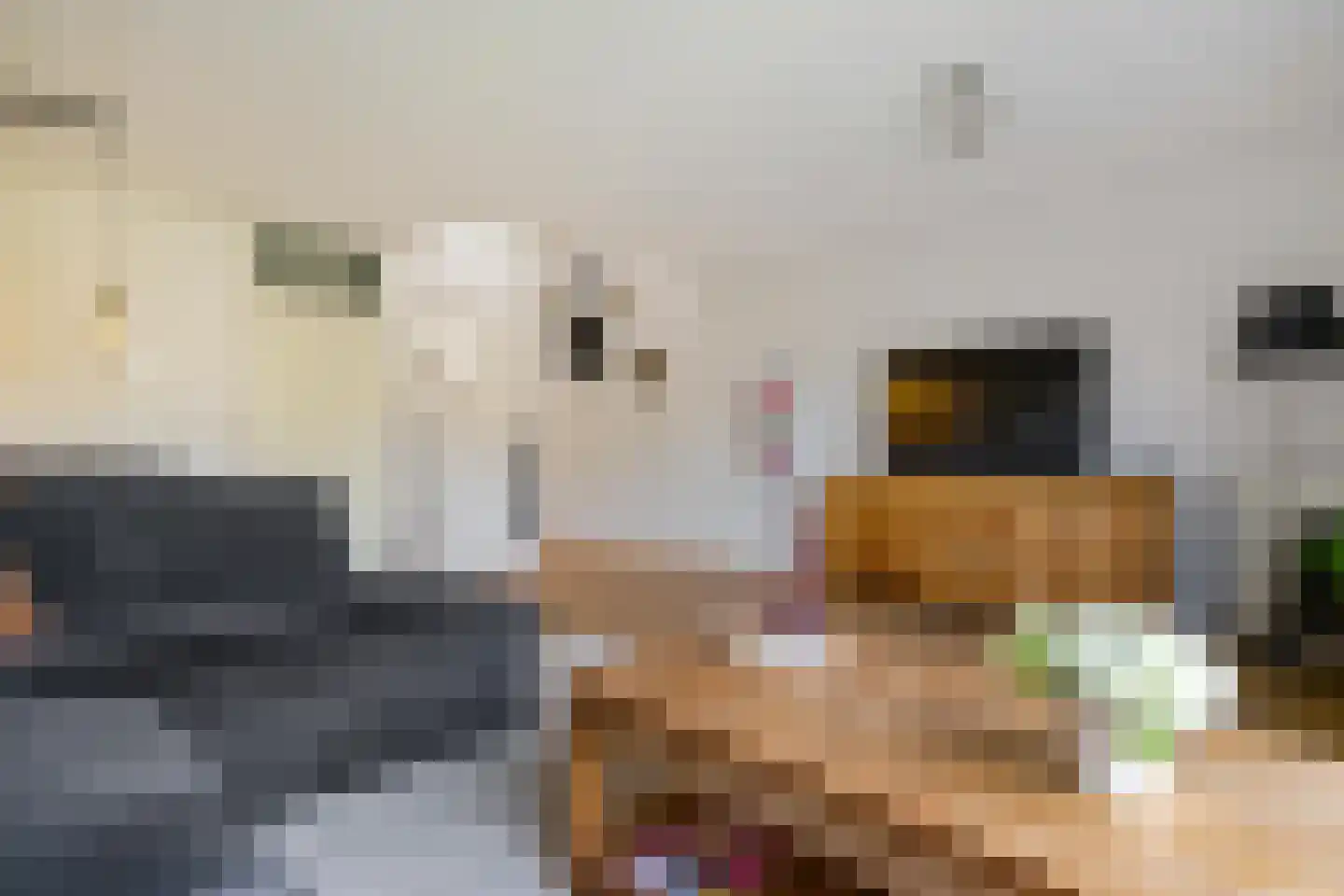 Damsterwaard 69 Groningen thumbnail 13
