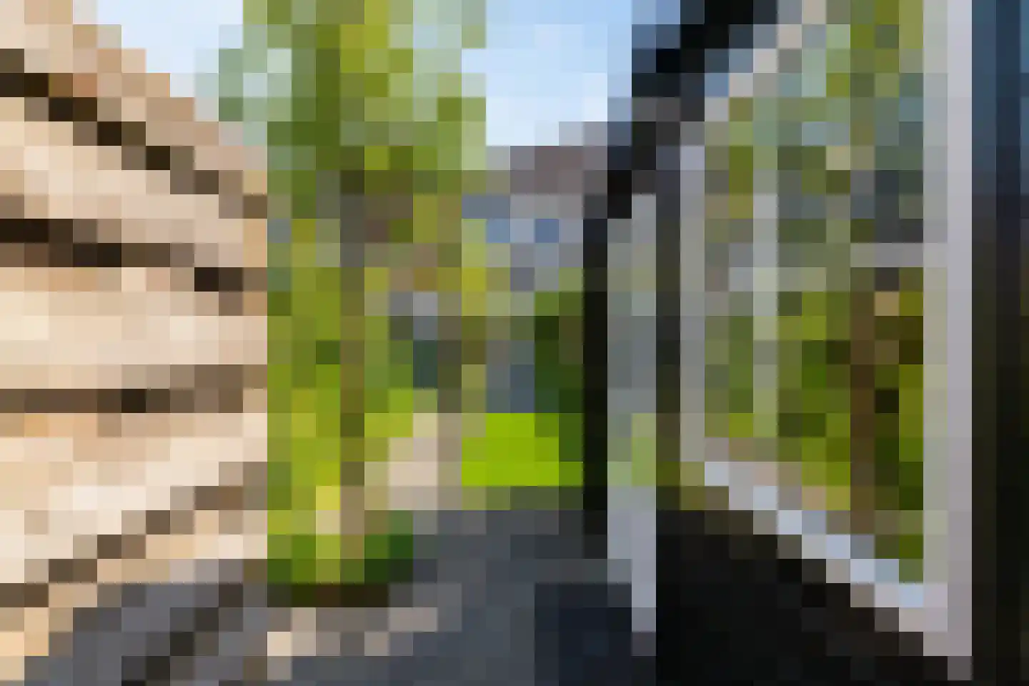 Damsterwaard 69 Groningen thumbnail 23