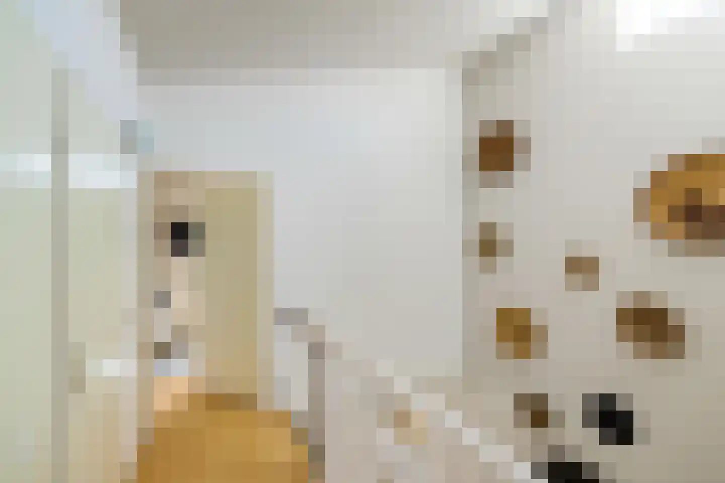 Damsterwaard 69 Groningen thumbnail 26
