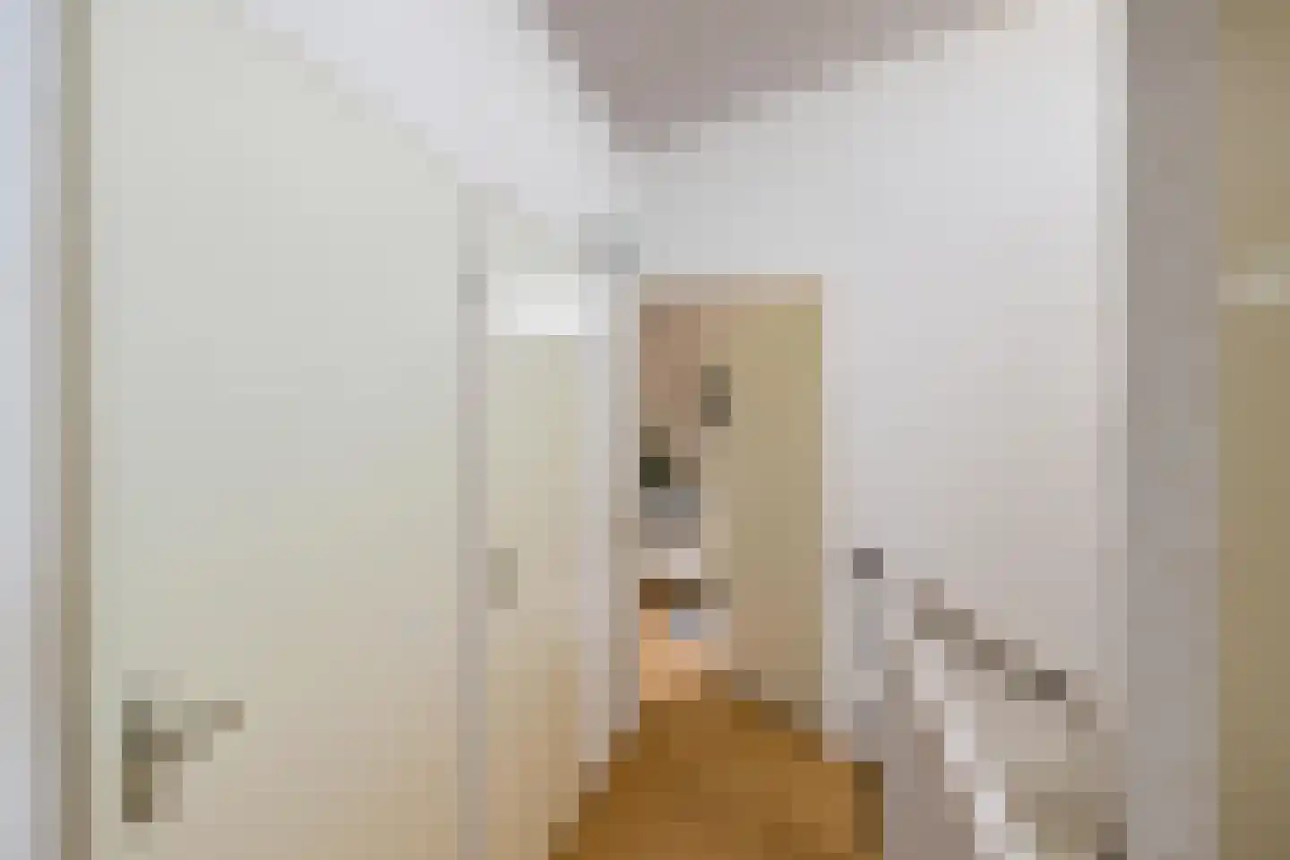 Damsterwaard 69 Groningen thumbnail 36