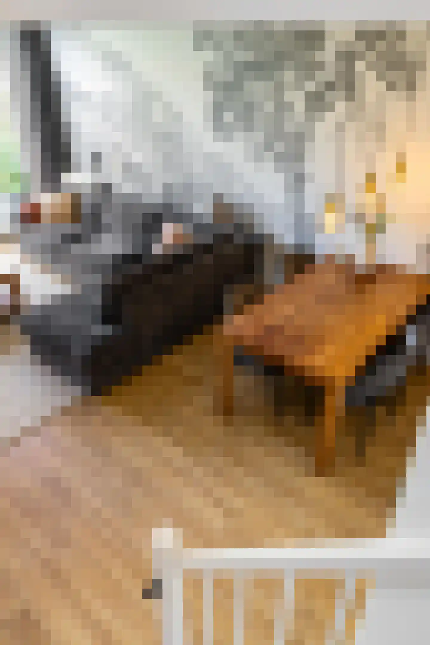 Damsterwaard 69 Groningen thumbnail 40