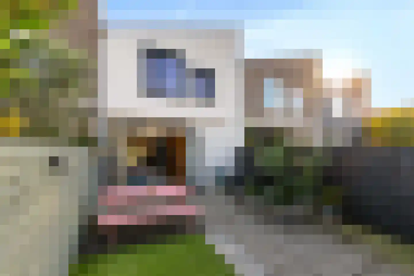 Damsterwaard 9 Groningen thumbnail 19