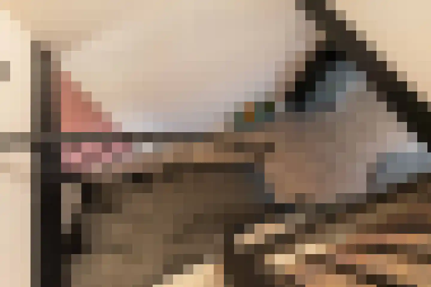 Damsterwaard 9 Groningen thumbnail 24
