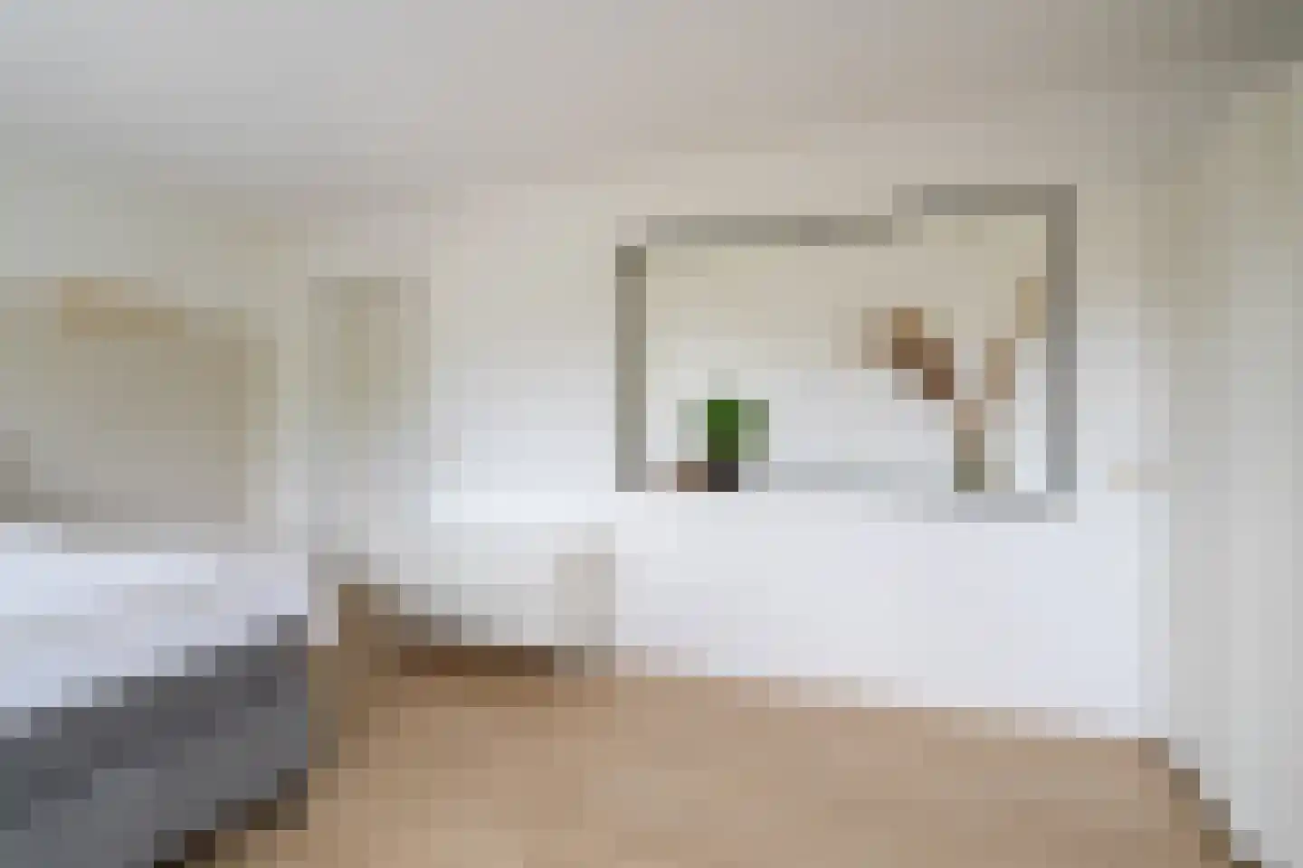 Damsterwaard 91 Groningen thumbnail 35