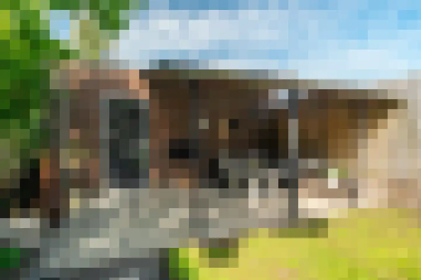 Damsterwaard 91 Groningen thumbnail 56