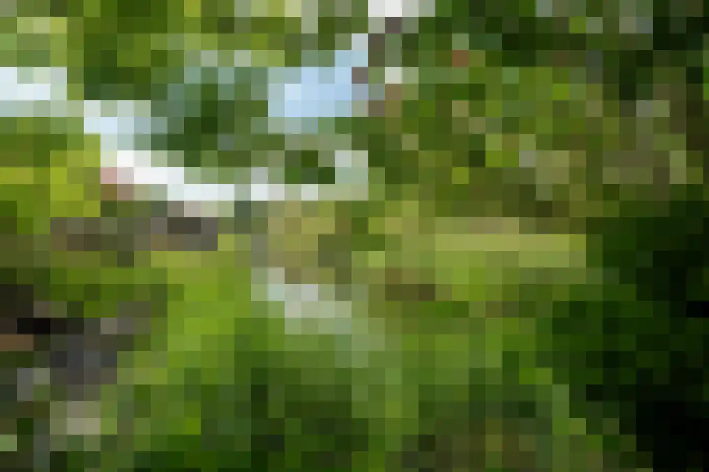Damsterwaard 91 Groningen thumbnail 58