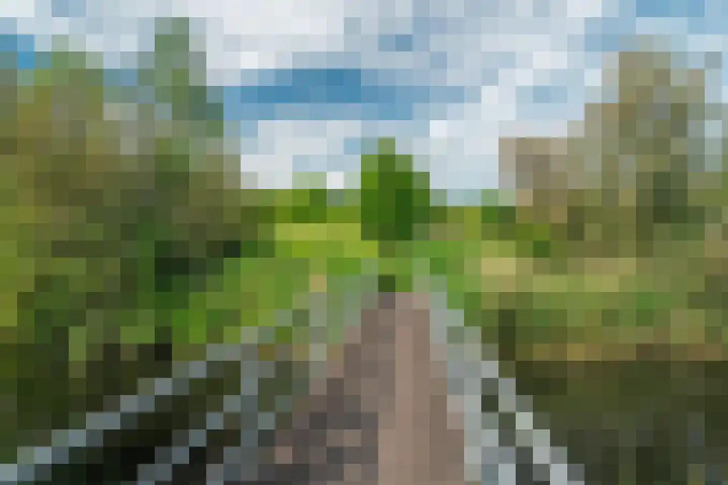 Damsterwaard 91 Groningen thumbnail 61