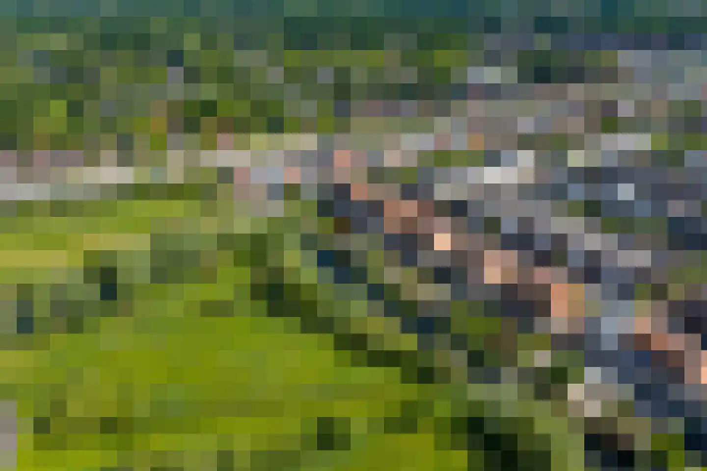 Damsterwaard 91 Groningen thumbnail 67