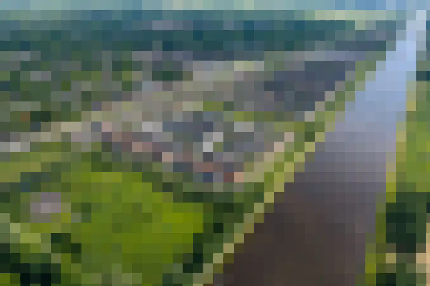 Damsterwaard 91 Groningen thumbnail 69