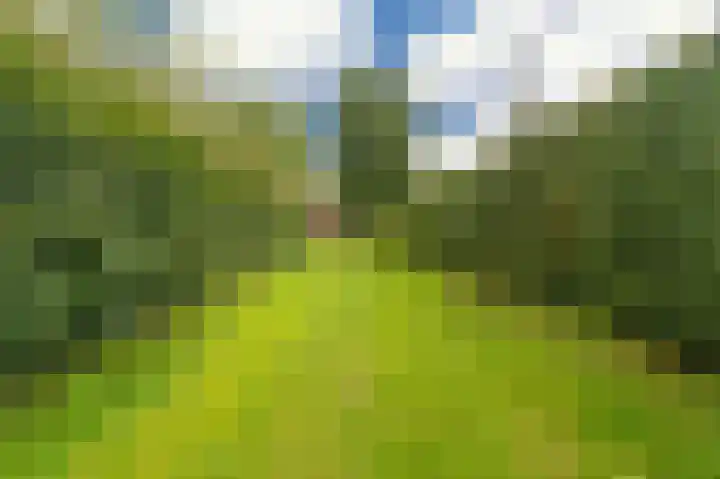Damsterweg 13 A Steendam thumbnail 22