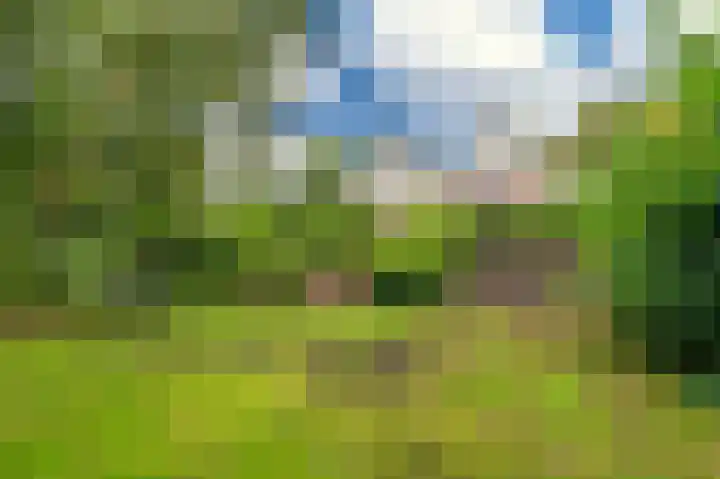 Damsterweg 13 A Steendam thumbnail 23