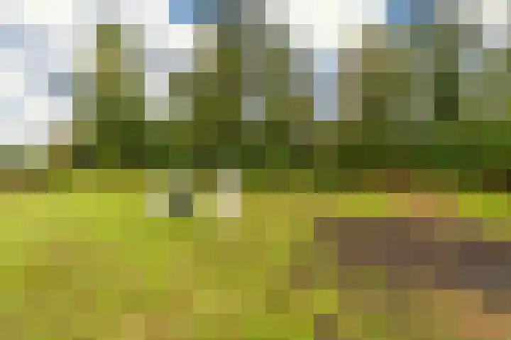 Damsterweg 13 A Steendam thumbnail 28