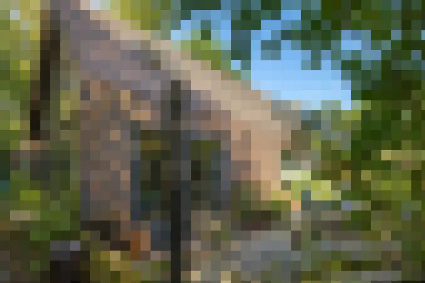 Damsterweg 14 Steendam thumbnail 12