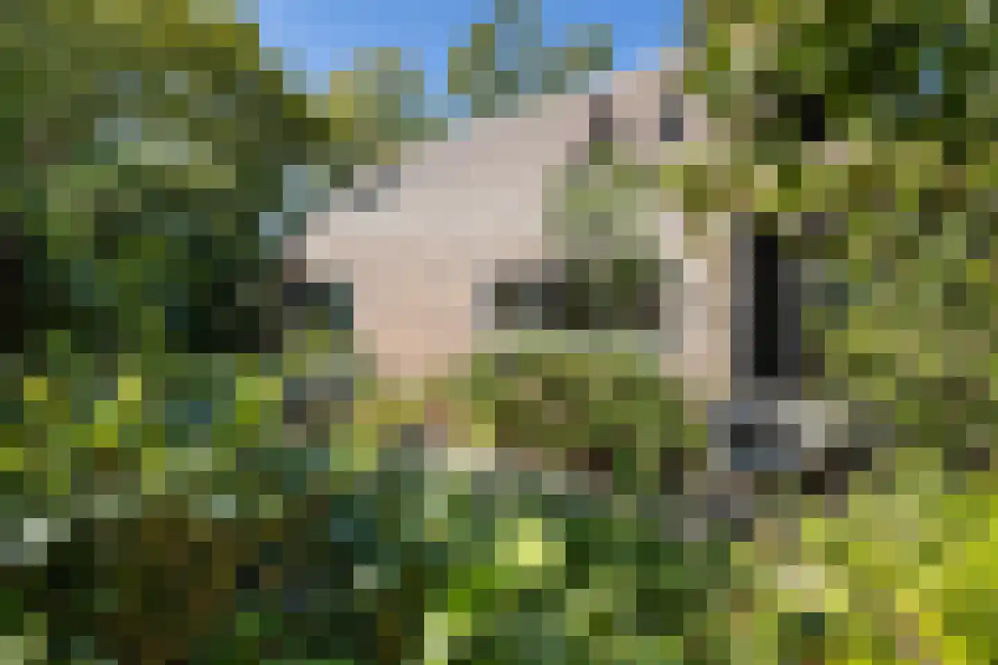 Damsterweg 14 Steendam thumbnail 13