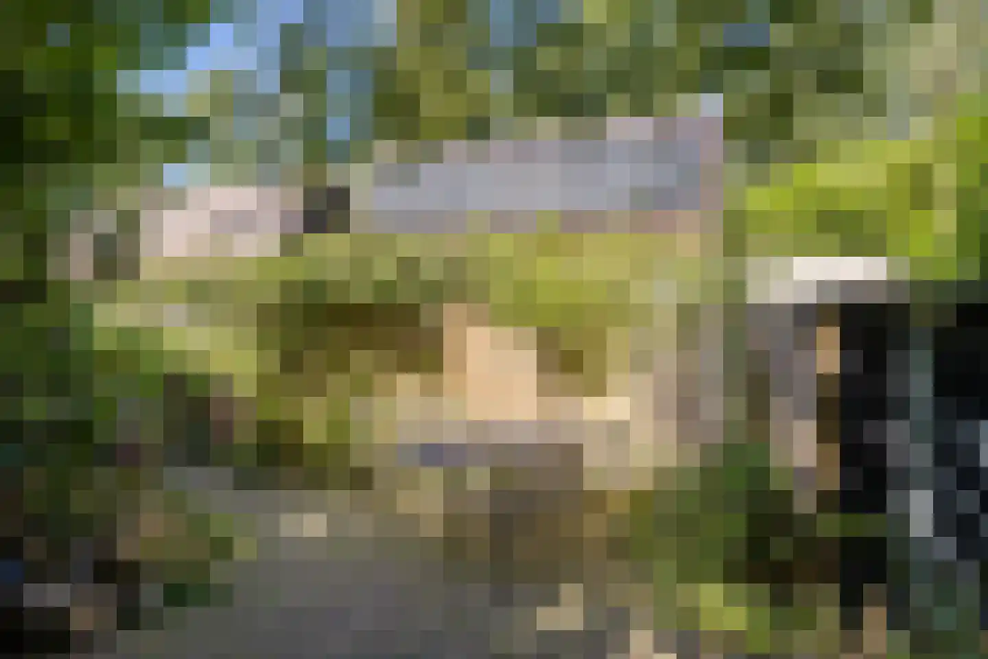 Damsterweg 14 Steendam thumbnail 15