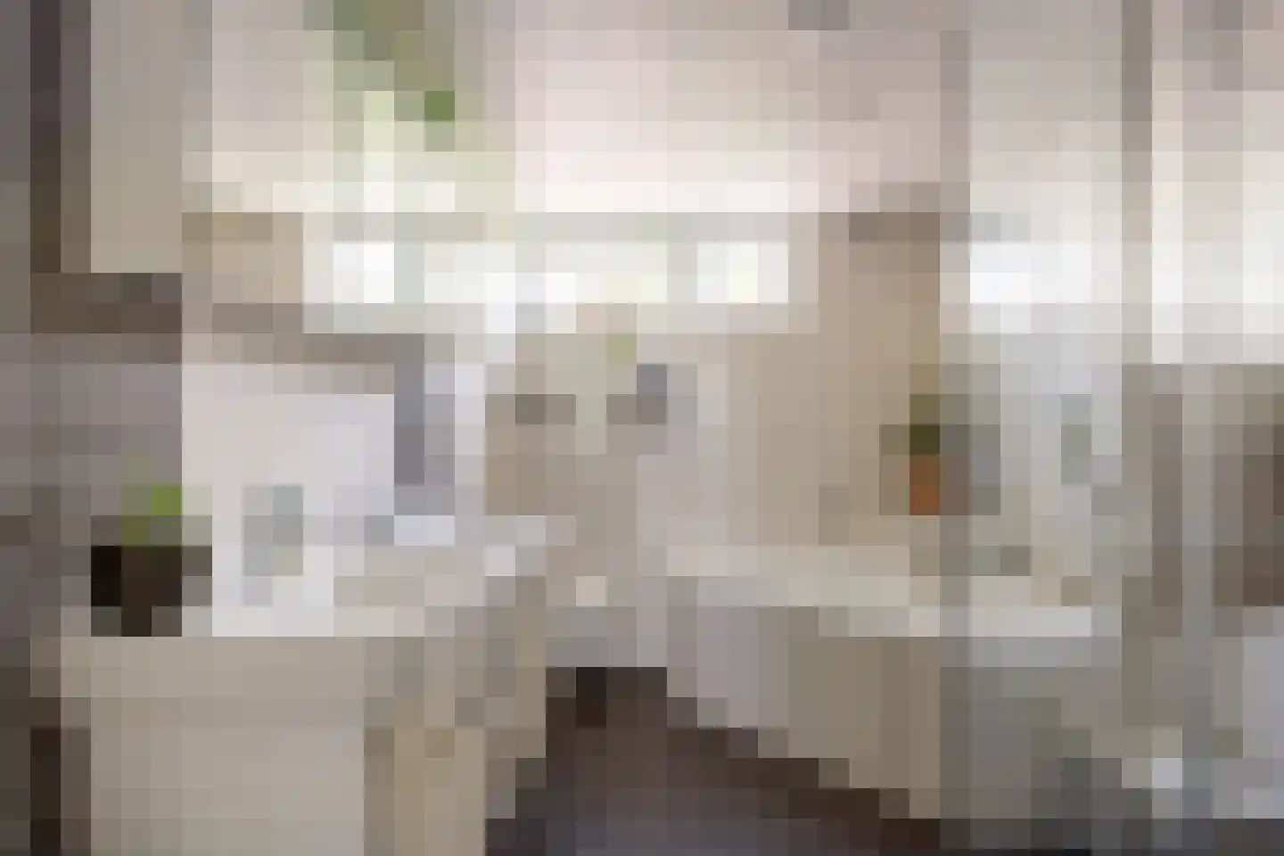 Damsterweg 79 Steendam thumbnail 35