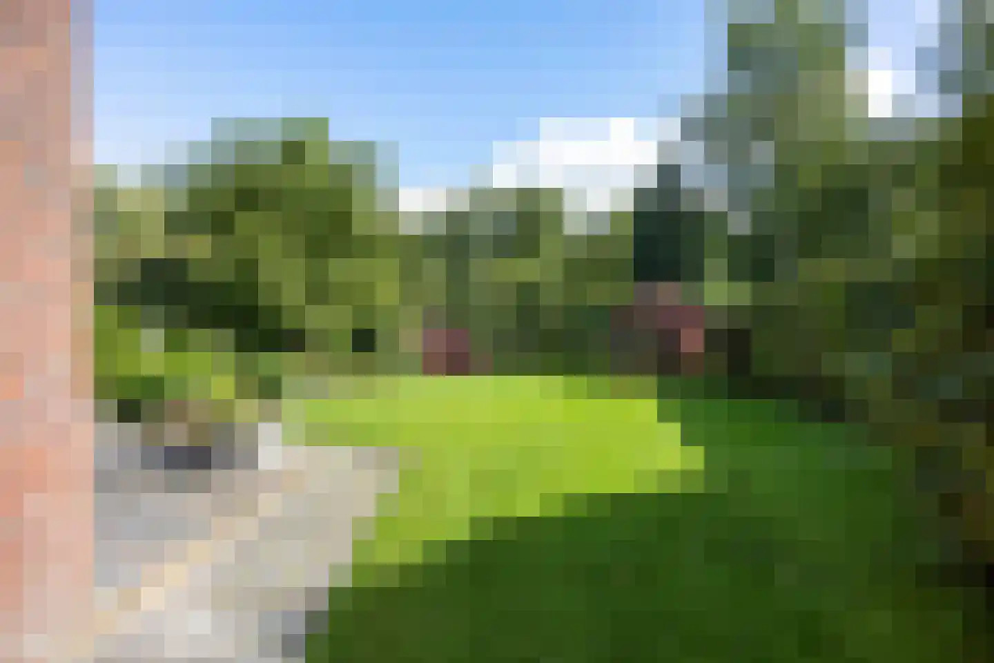 Damsterweg 79 Steendam thumbnail 68