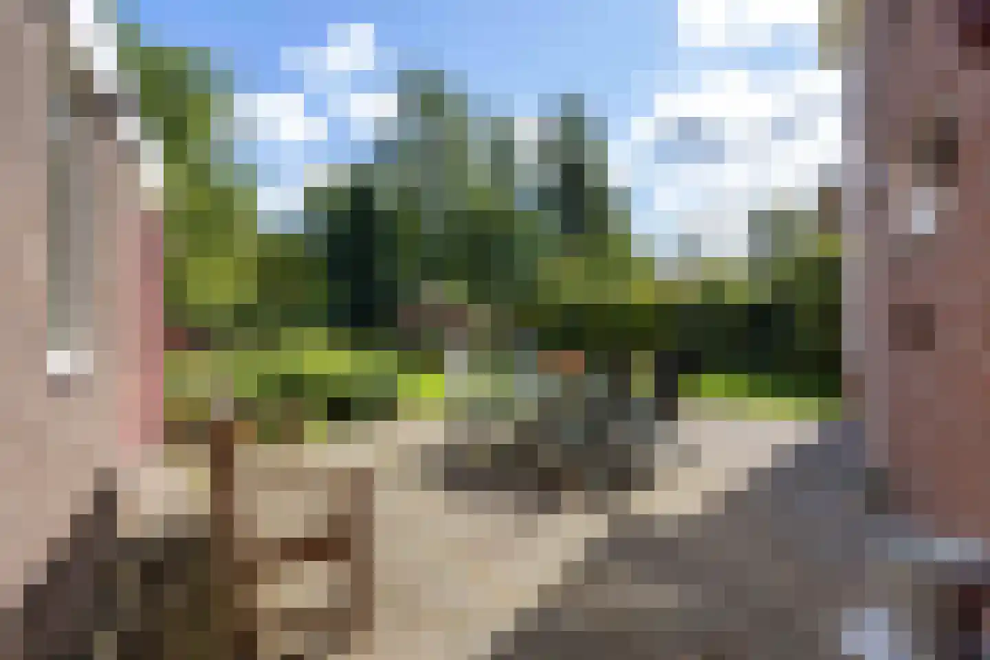 Damsterweg 79 Steendam thumbnail 69