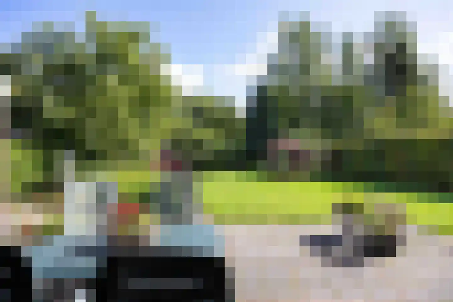 Damsterweg 79 Steendam thumbnail 70