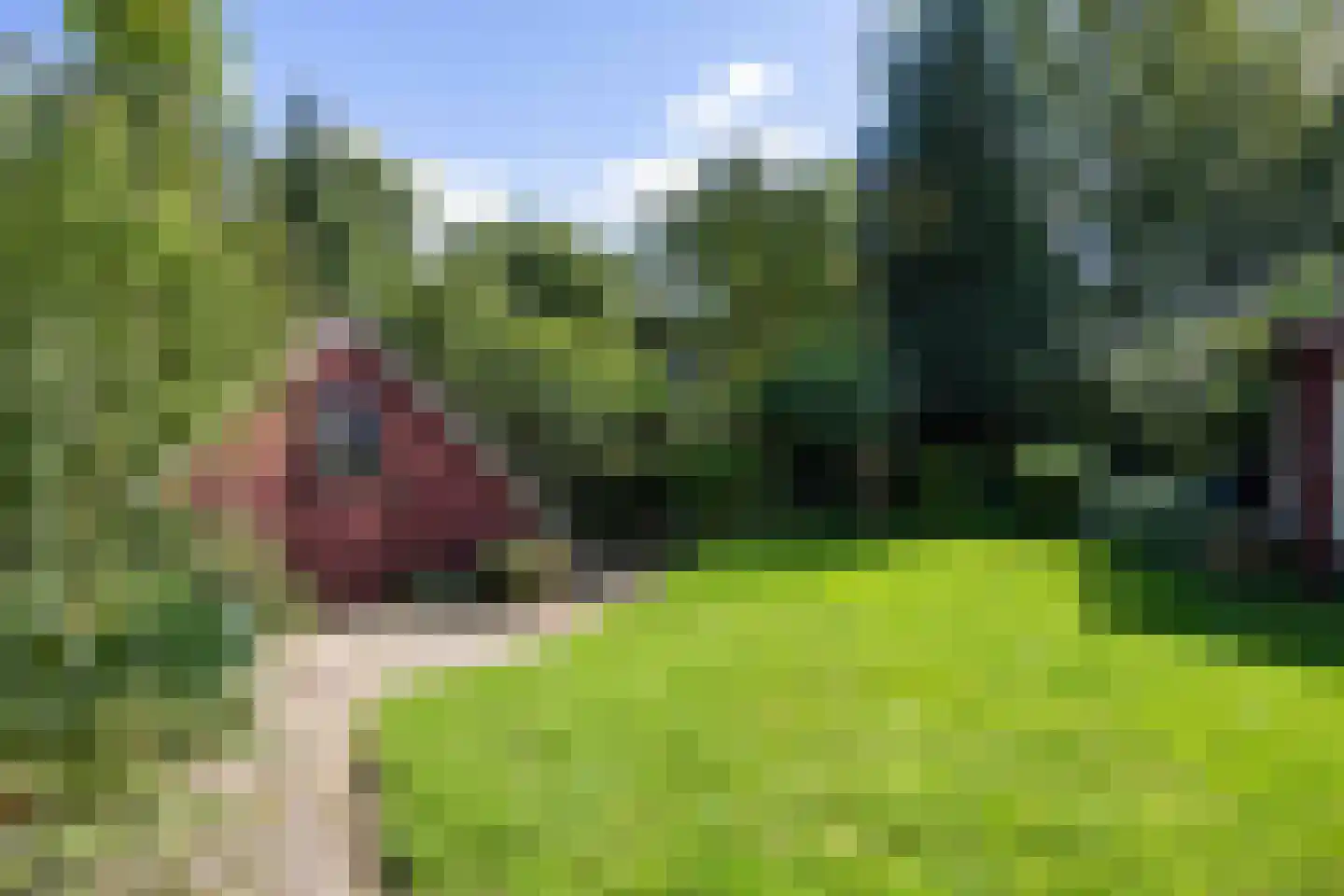 Damsterweg 79 Steendam thumbnail 72