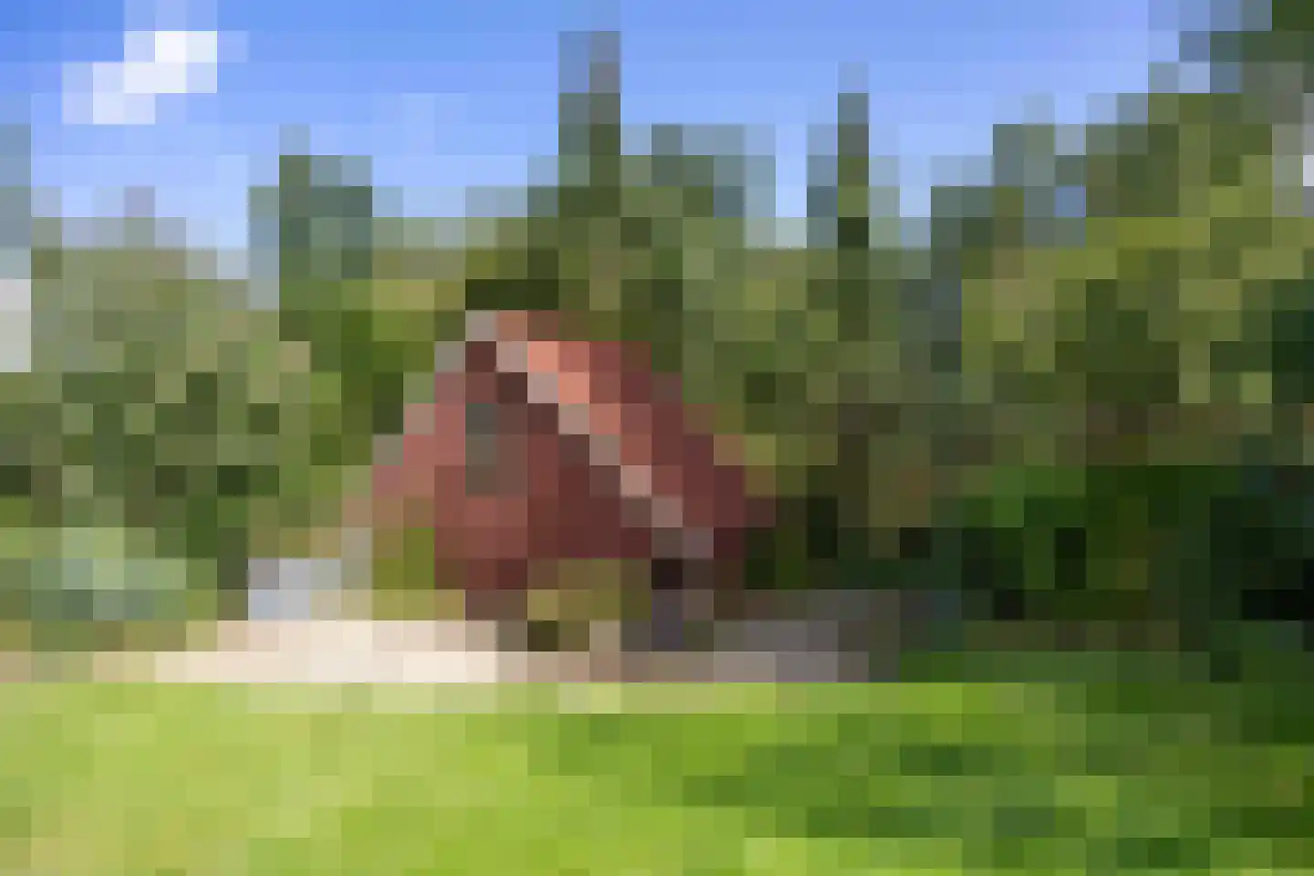 Damsterweg 79 Steendam thumbnail 73