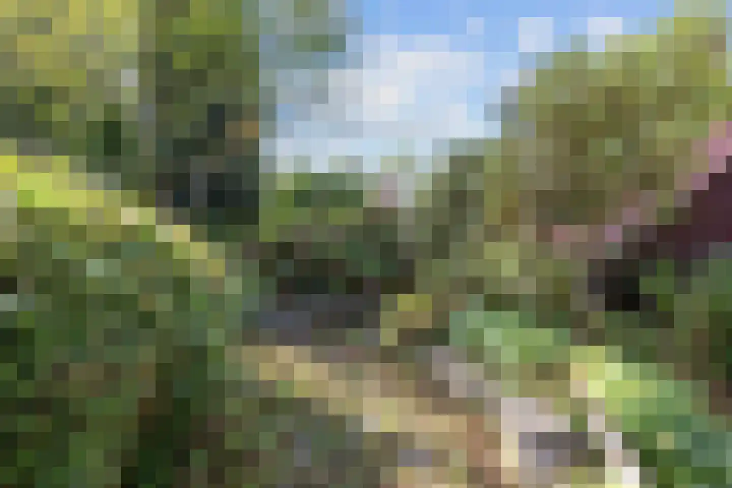 Damsterweg 79 Steendam thumbnail 75