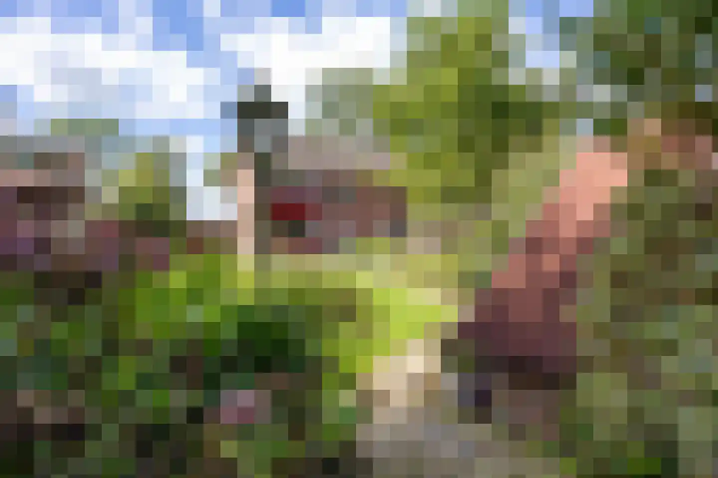 Damsterweg 79 Steendam thumbnail 76