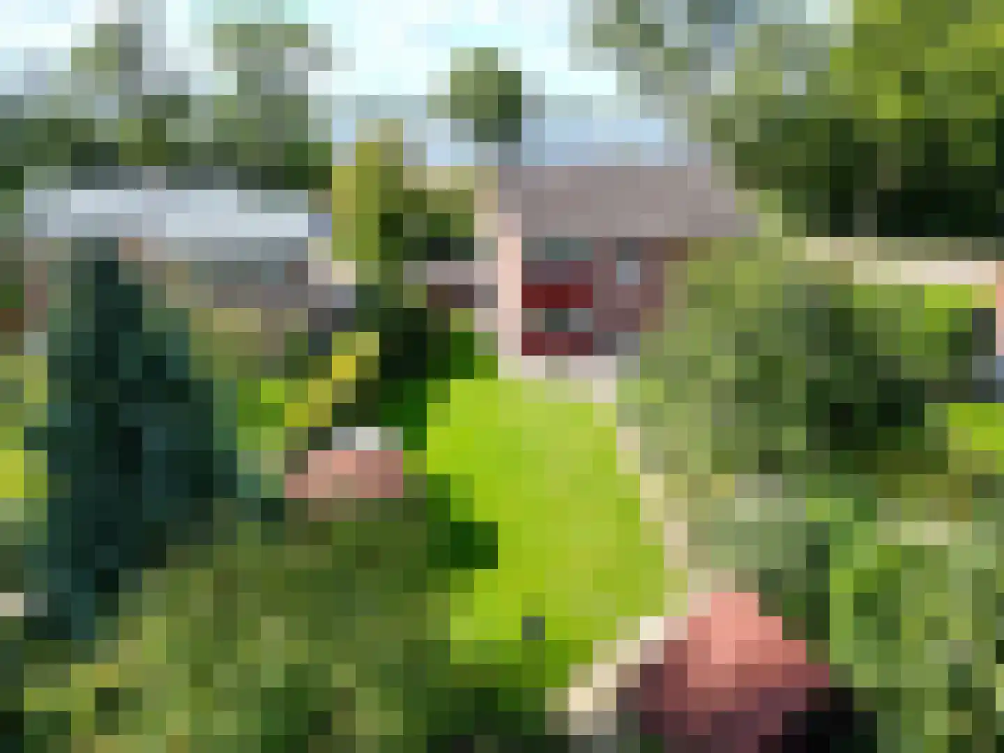 Damsterweg 79 Steendam thumbnail 88