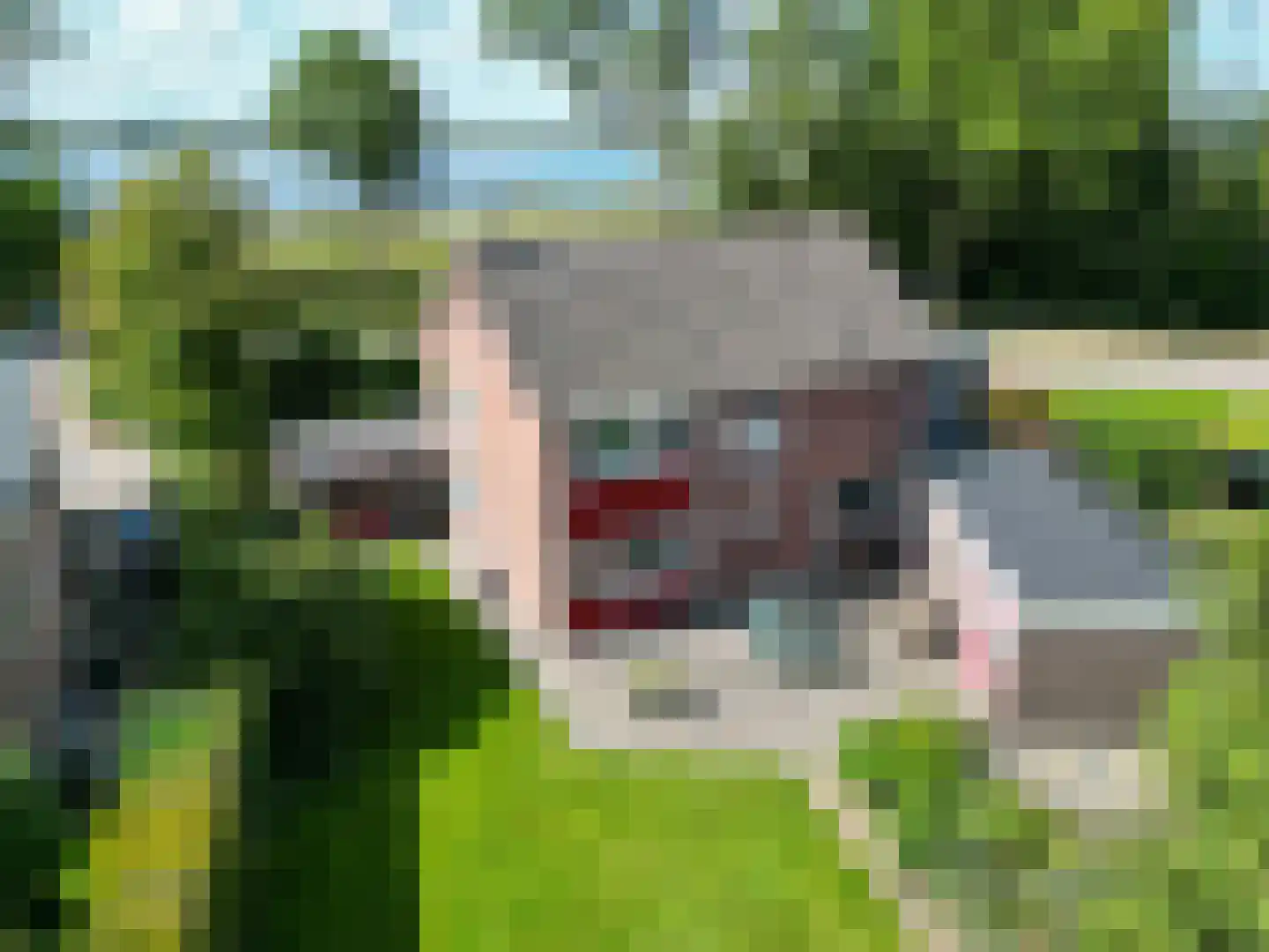 Damsterweg 79 Steendam thumbnail 89