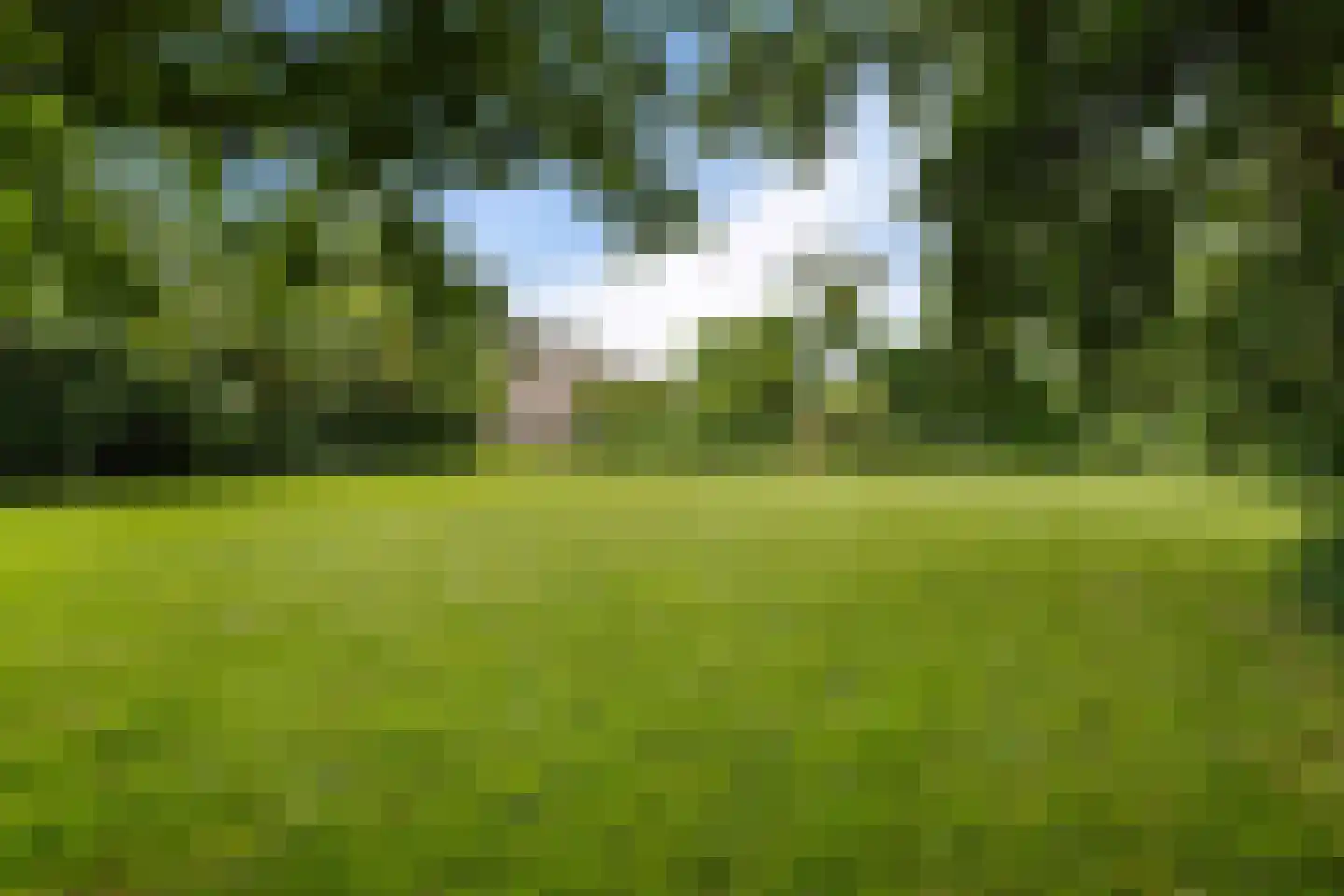 Damsterweg 8 Kloosterburen thumbnail 30