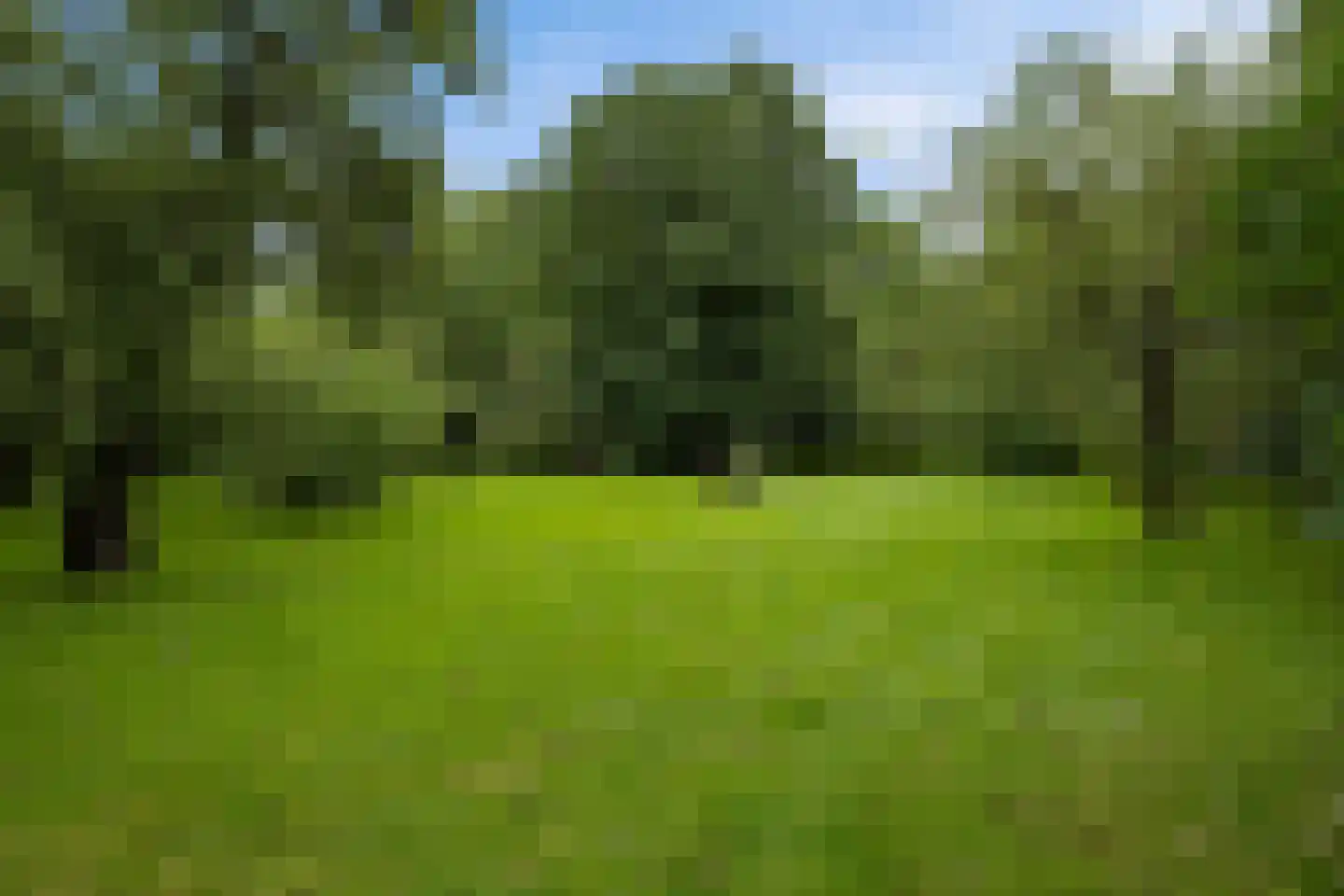 Damsterweg 8 Kloosterburen thumbnail 31