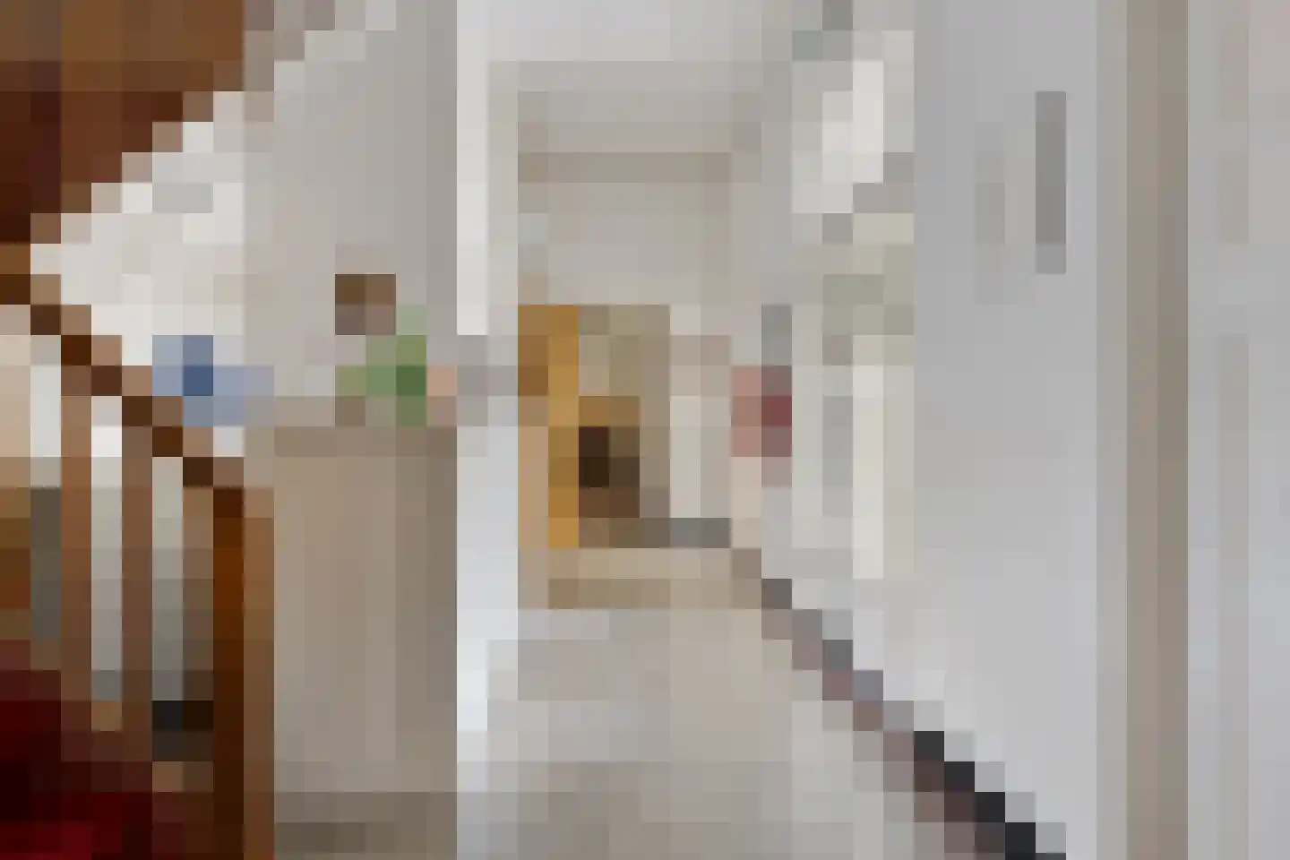 Damsterweg 8 Kloosterburen thumbnail 35