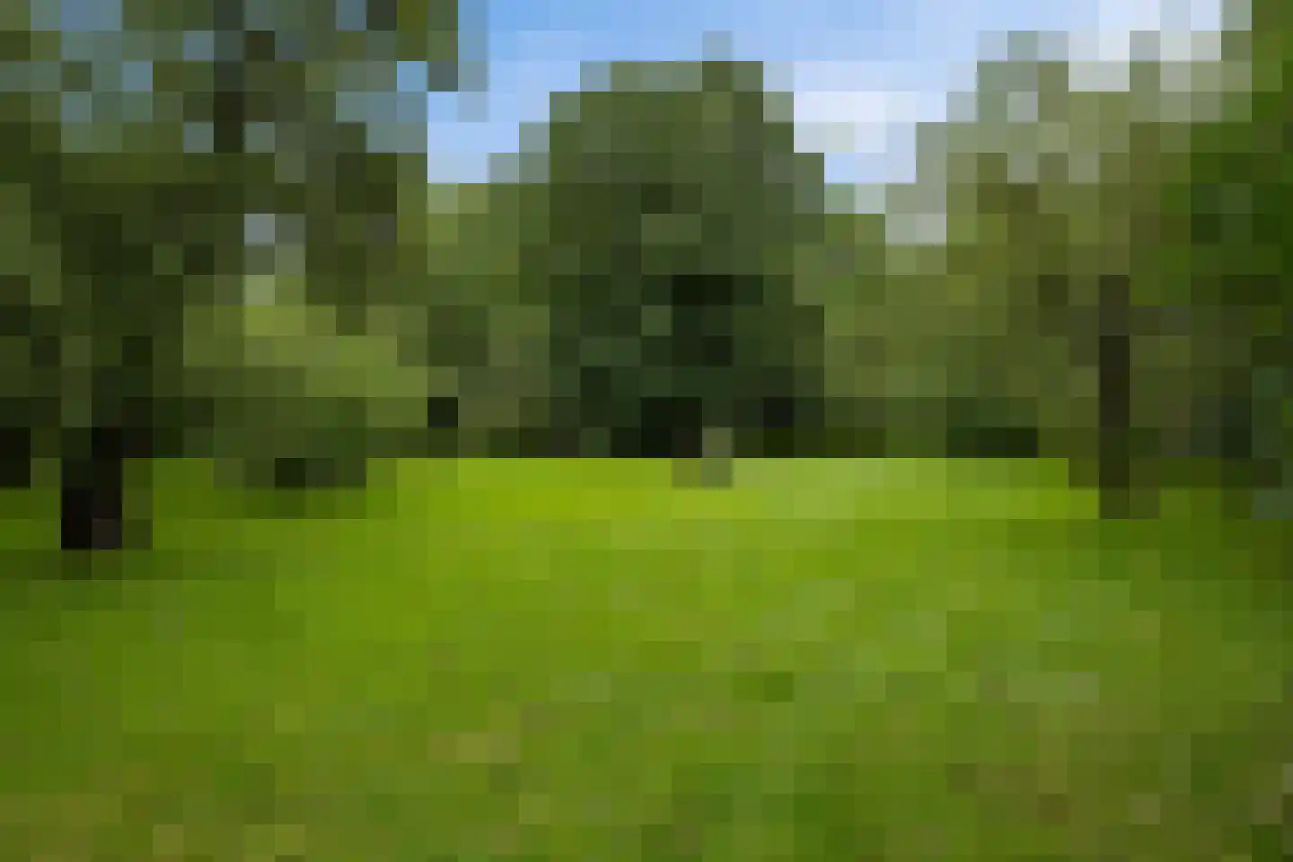 Damsterweg 8 Kloosterburen thumbnail 4