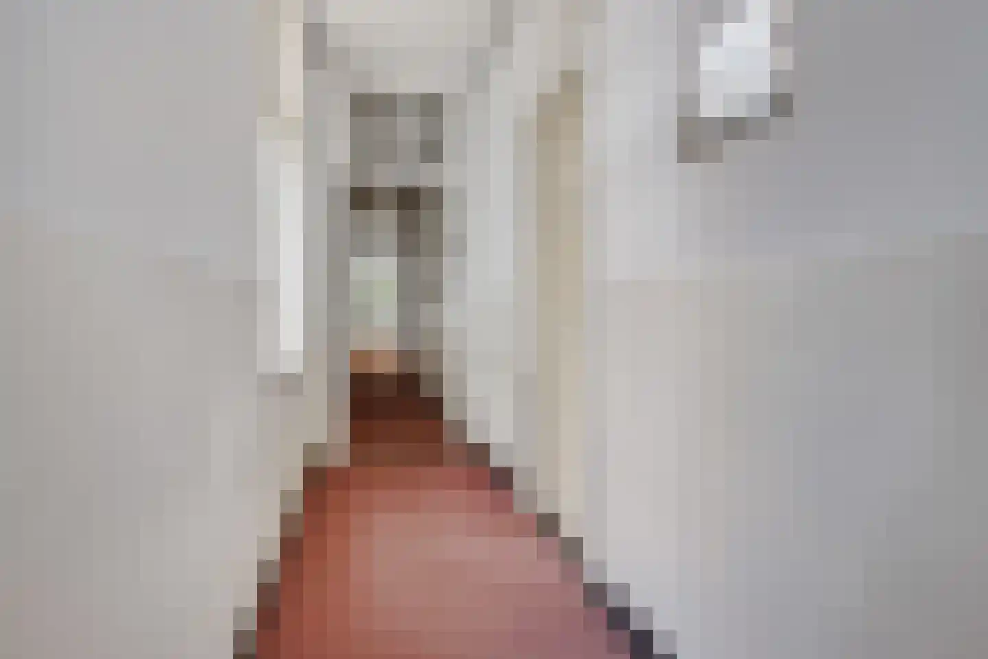 Damsterweg 8 Kloosterburen thumbnail 43