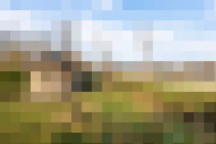 Damsterweg 9 A Steendam thumbnail 33