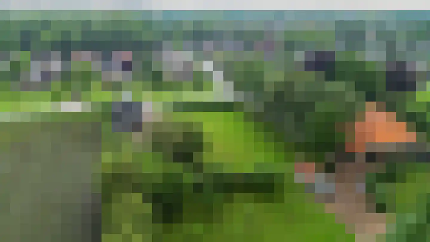 Damsterweg Siddeburen thumbnail 4