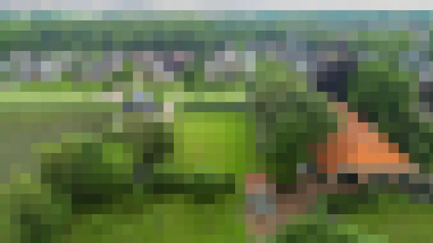 Damsterweg Siddeburen thumbnail 5