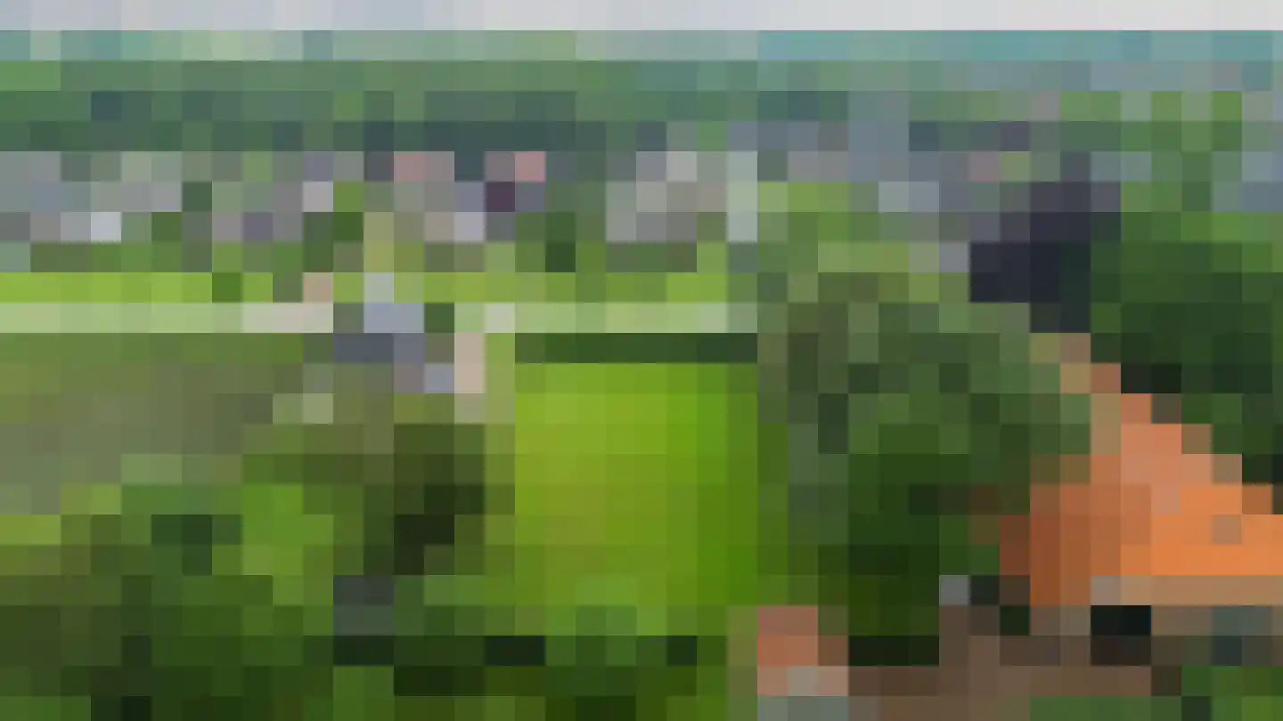 Damsterweg Siddeburen thumbnail 6