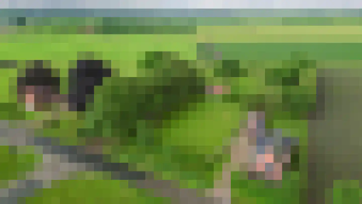 Damsterweg Siddeburen thumbnail 7