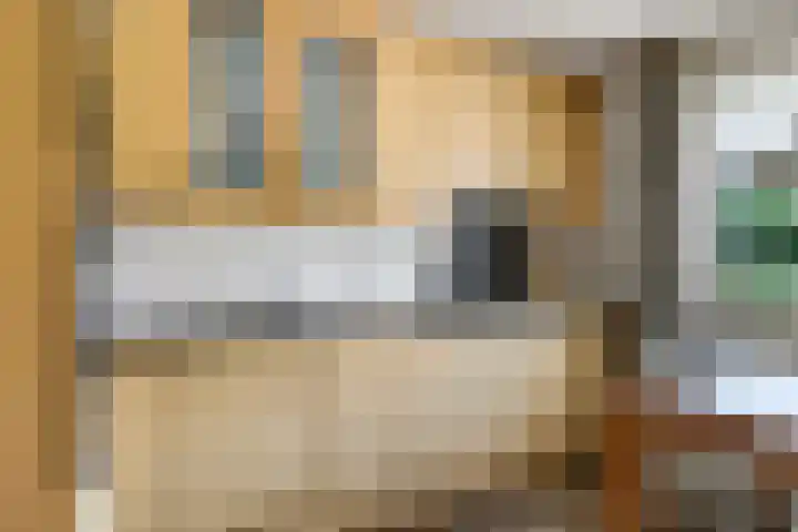 Damstraat 10 Zetten thumbnail 17