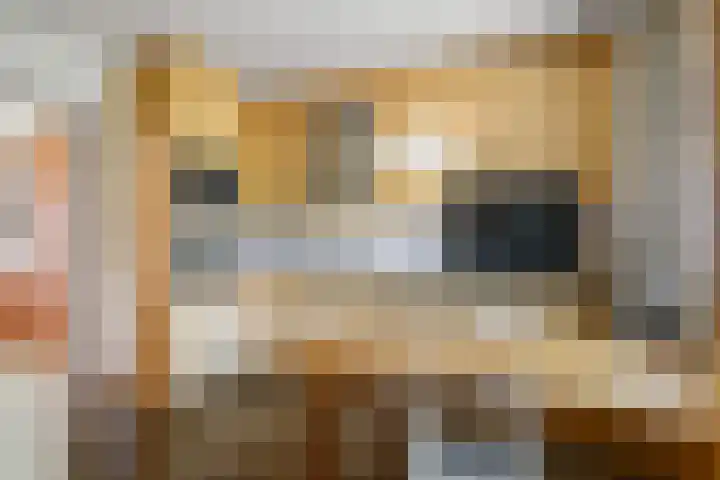 Damstraat 10 Zetten thumbnail 20