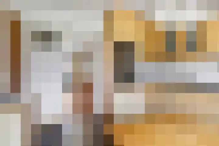 Damstraat 10 Zetten thumbnail 21