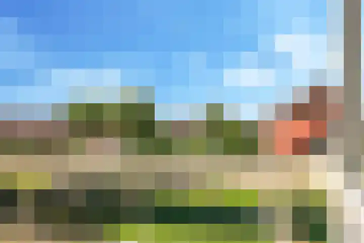 Damstraat 10 Zetten thumbnail 27